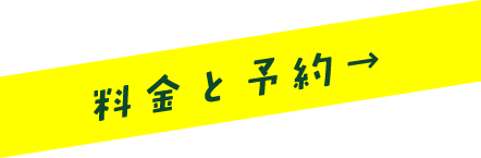 料金と予約